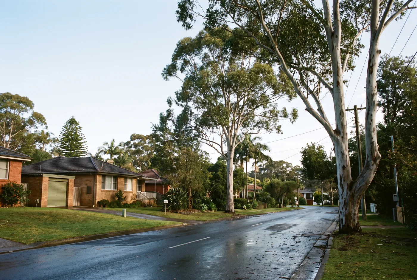 A quiet leafy residential street of single-storey houses with driveways and garages, wet road drying after a wind change