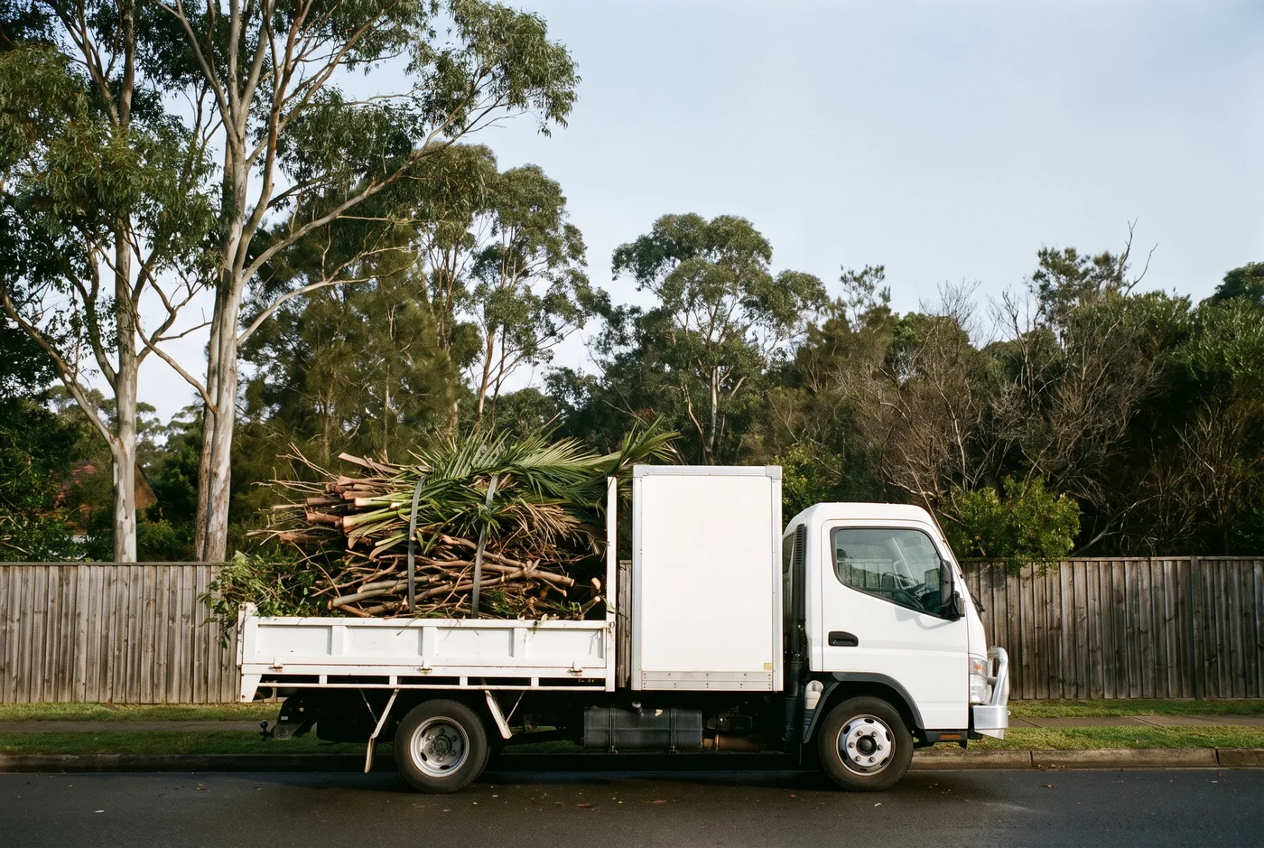 Cut branches and palm fronds strapped down neatly on the open tray of a plain box truck outside a bush-backed garden